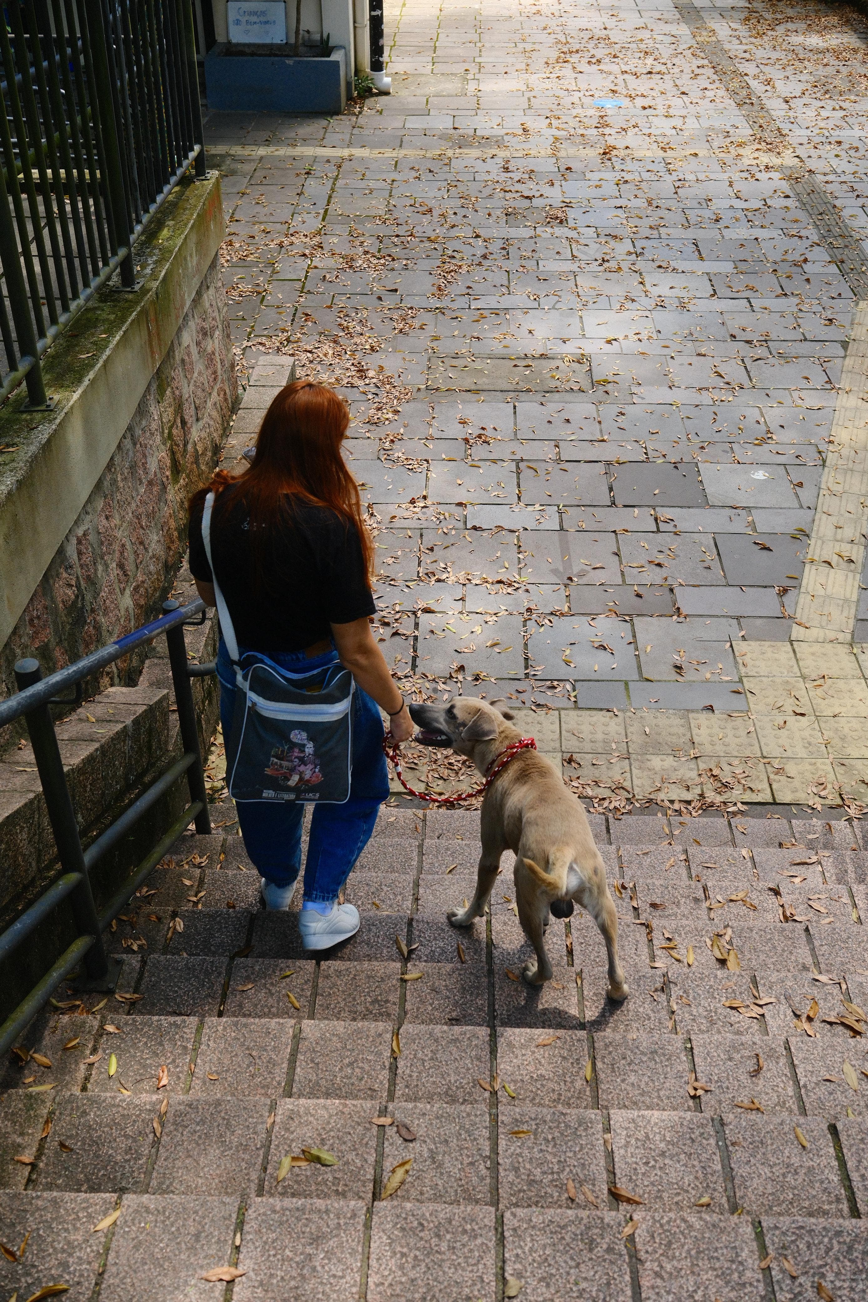 Voluntária da Caramelos do Vale com um cão resgatado