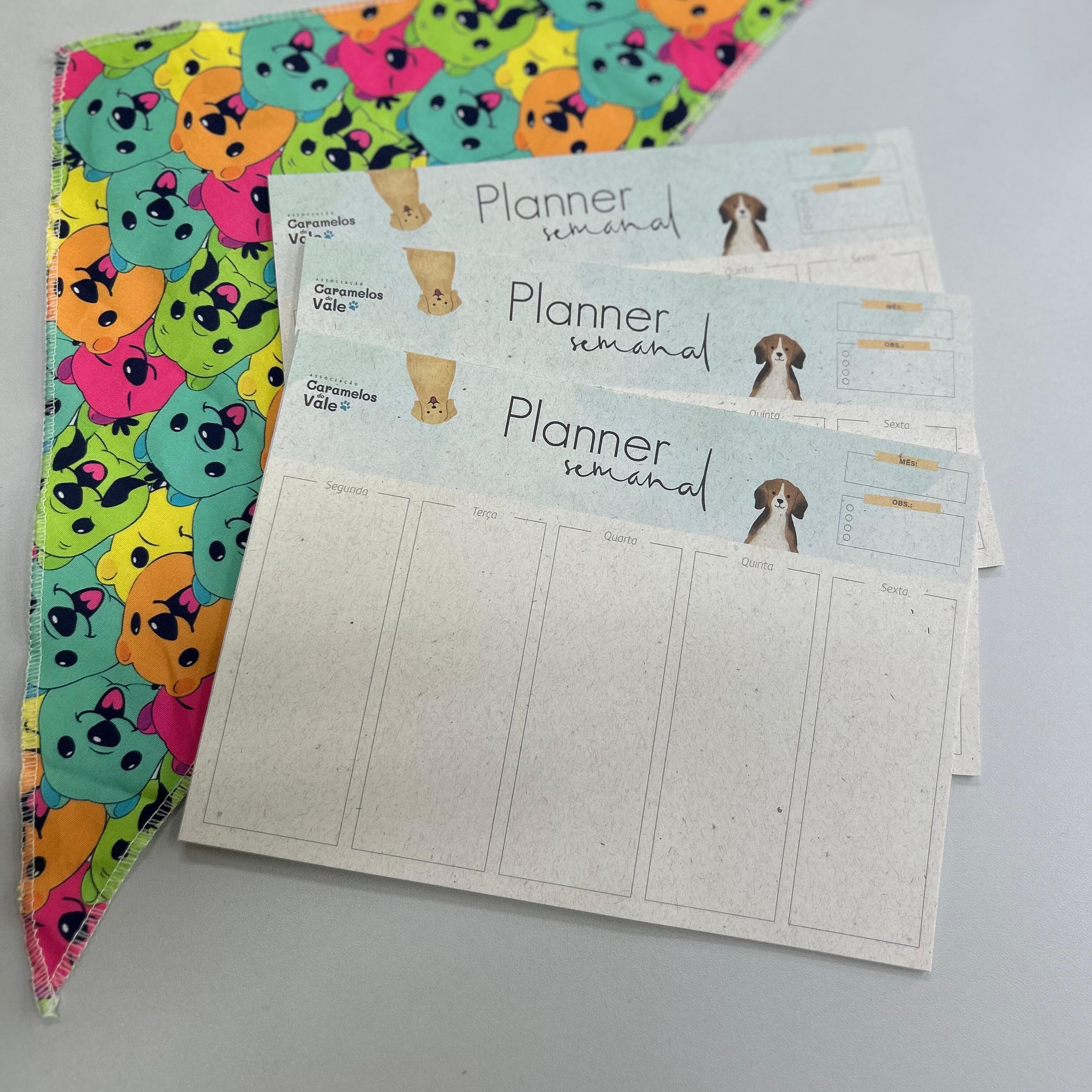 Planner Semanal (25 folhas)