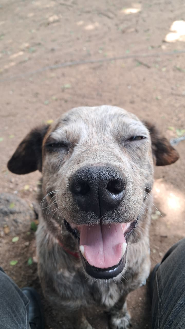 Foto de Tablita