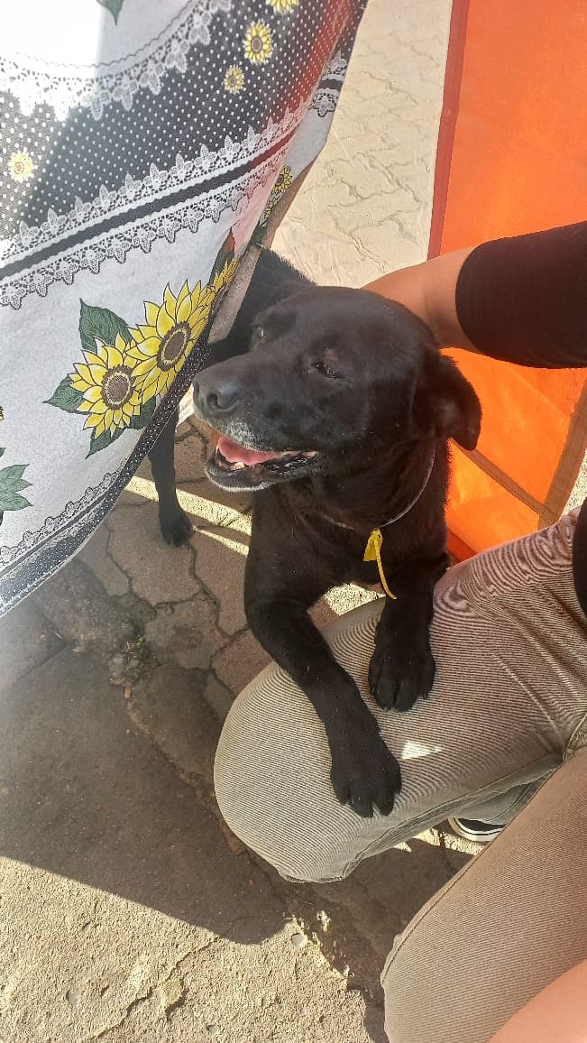 Foto de Tonhão