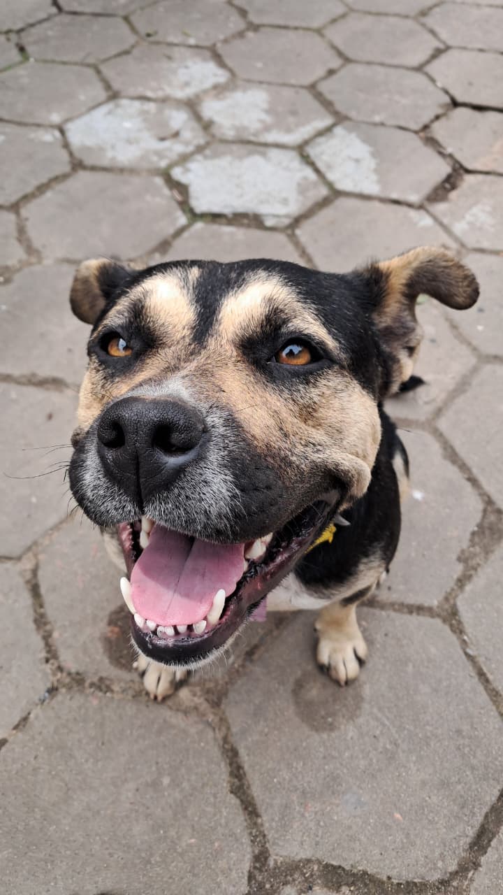 Foto de Regina