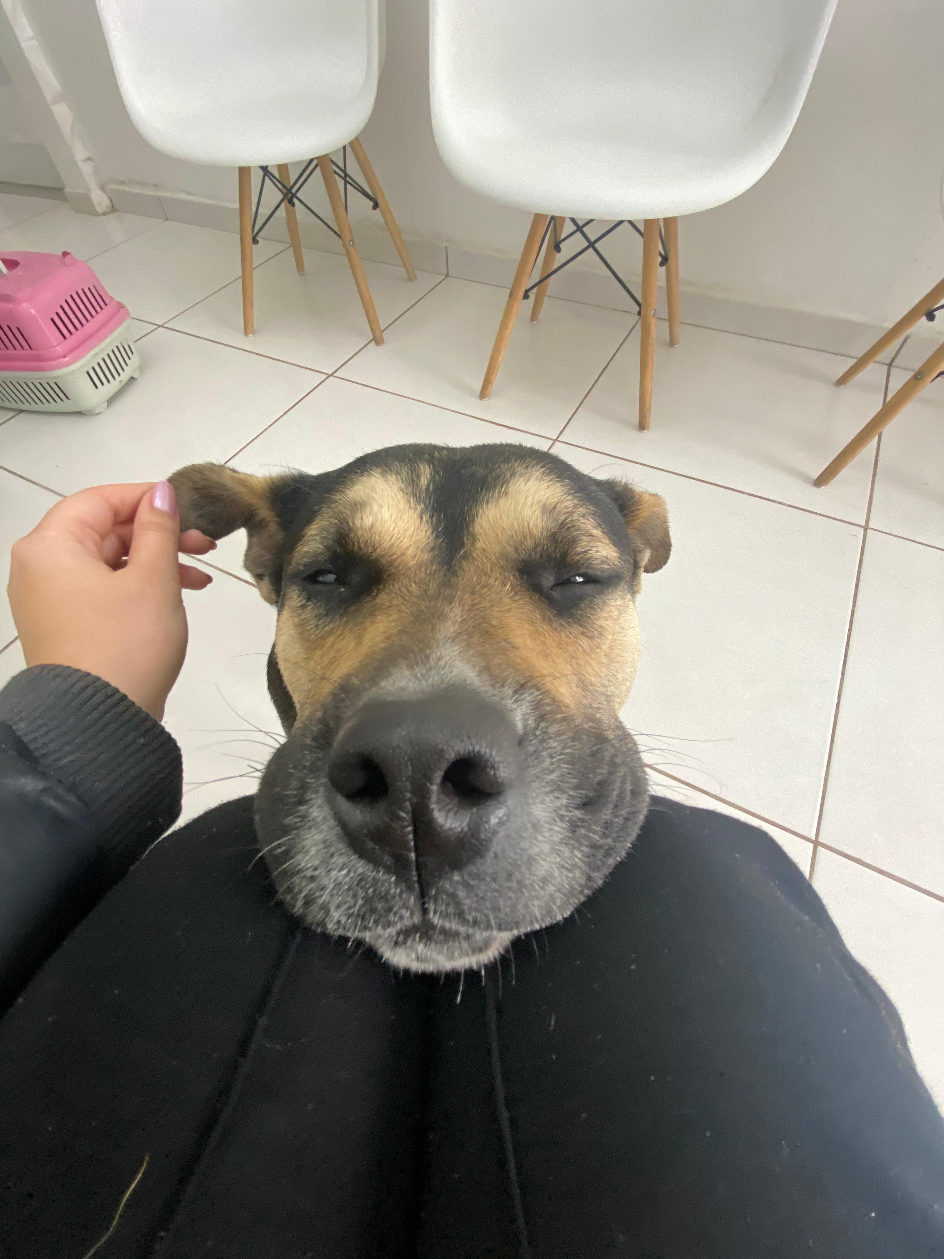 Foto de Regina