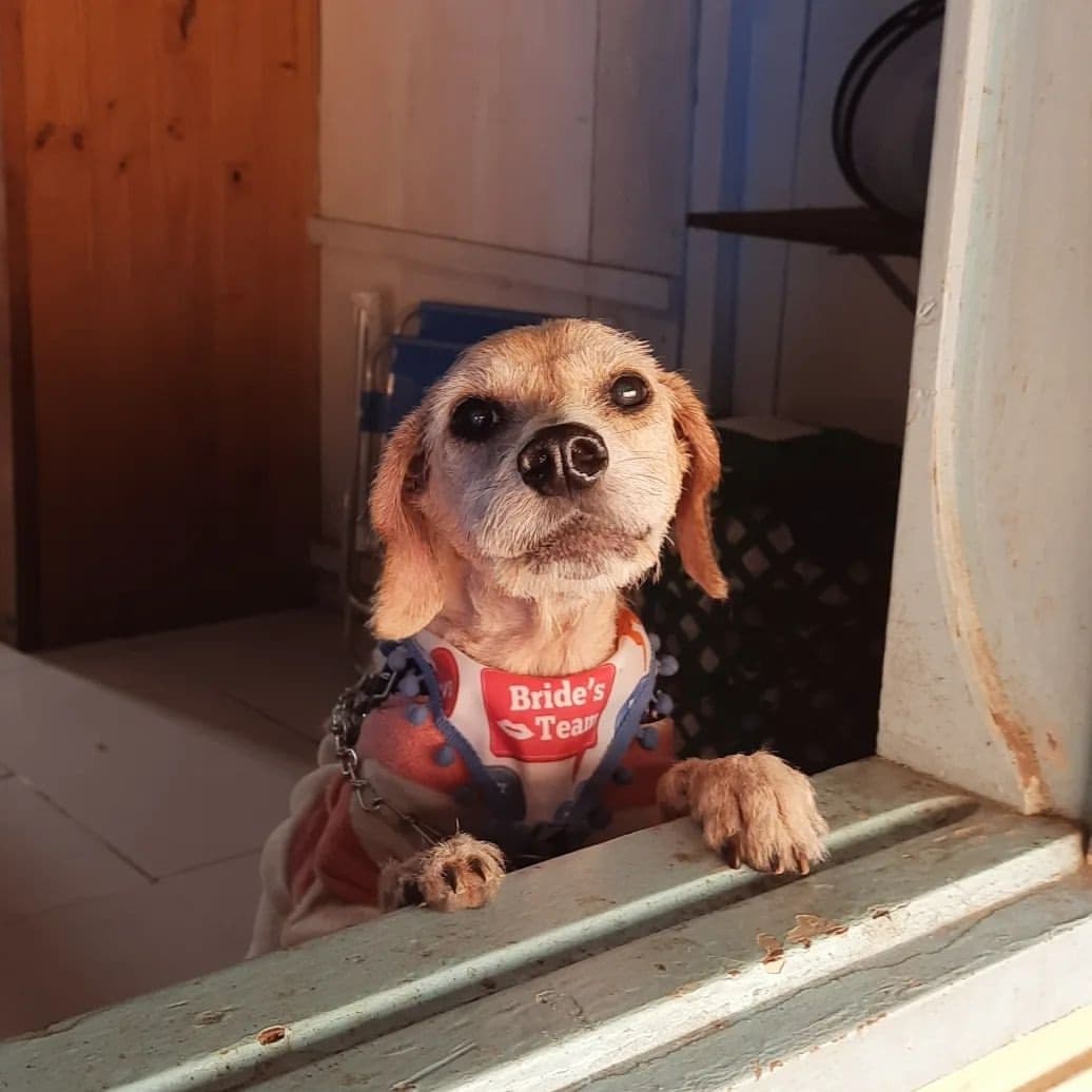 Foto de Otto