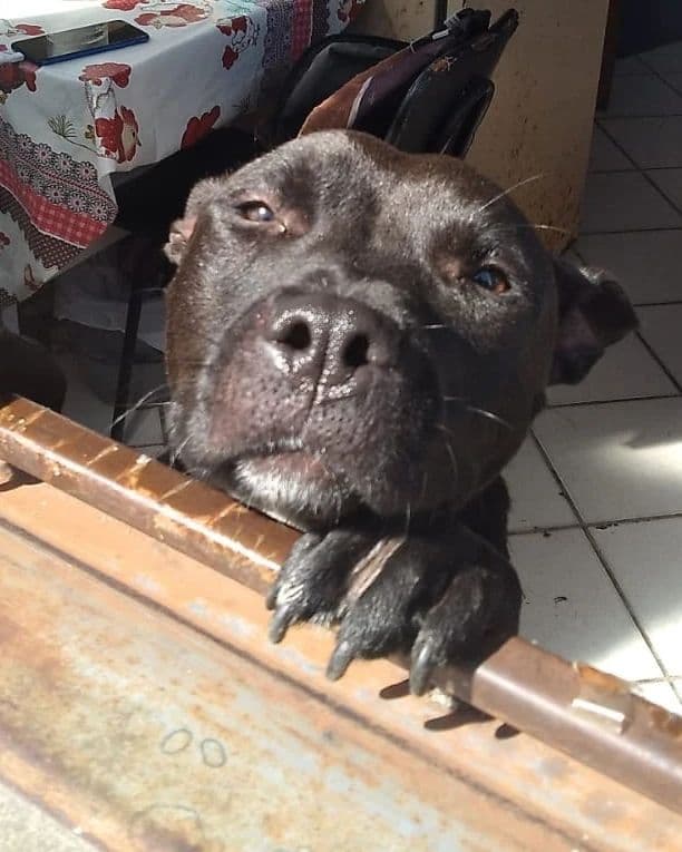 Foto de Betina