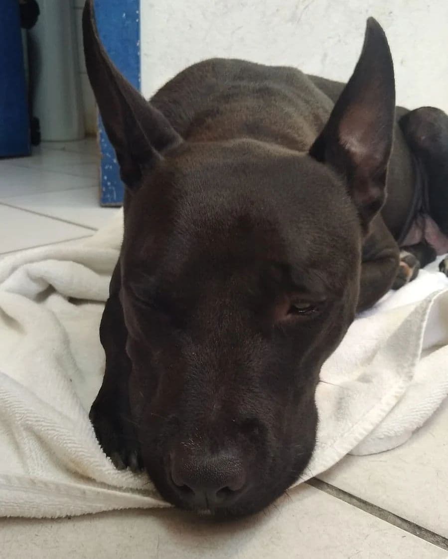 Foto de Betina