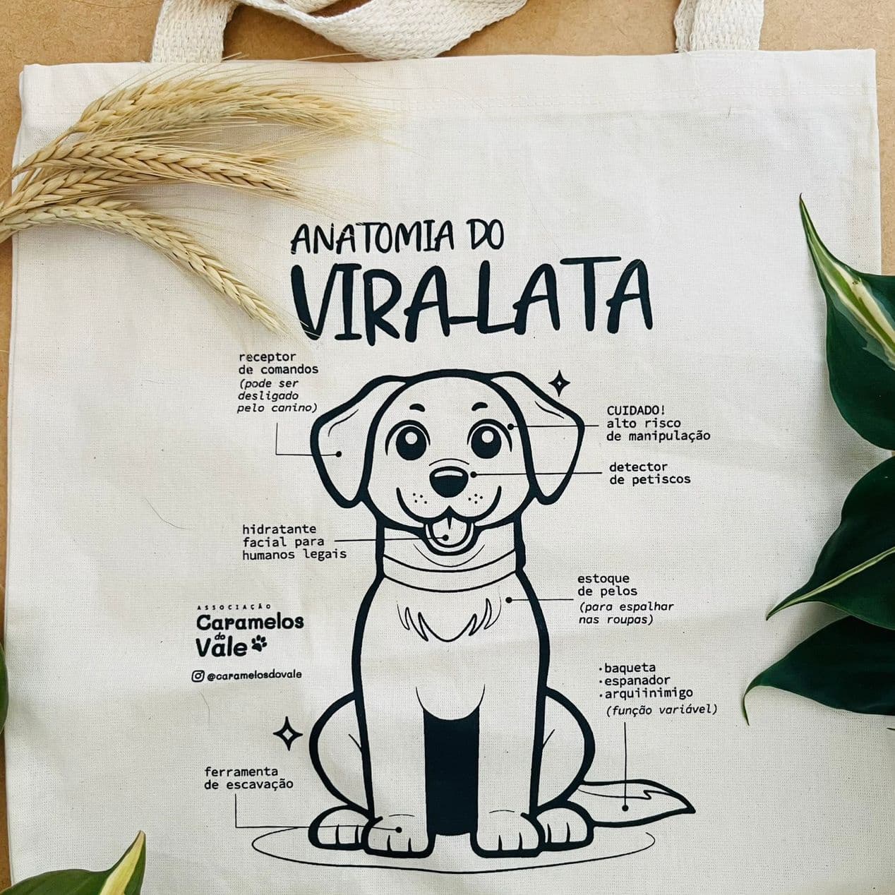 Ecobag - Anatomia