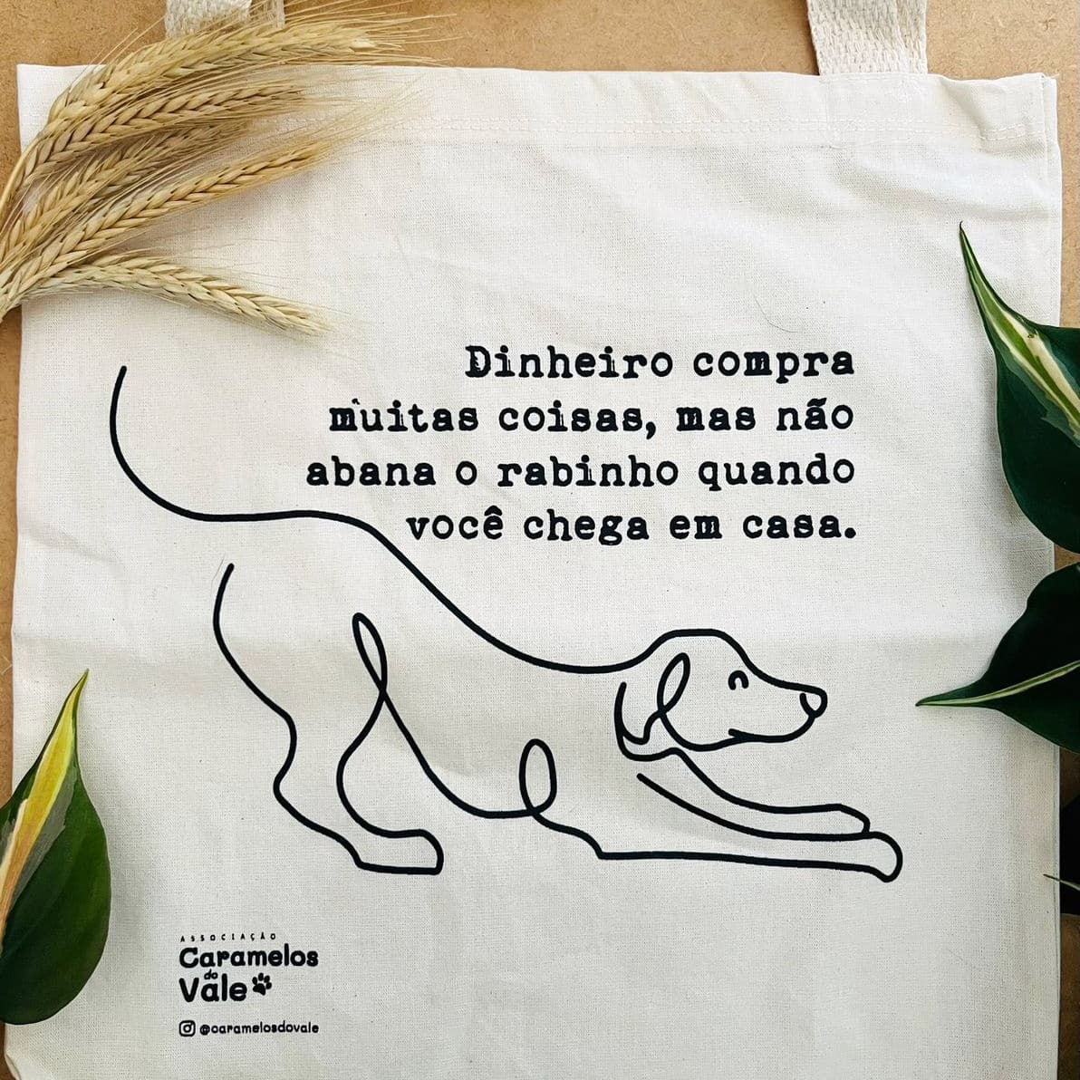Ecobag - Abana rabinho