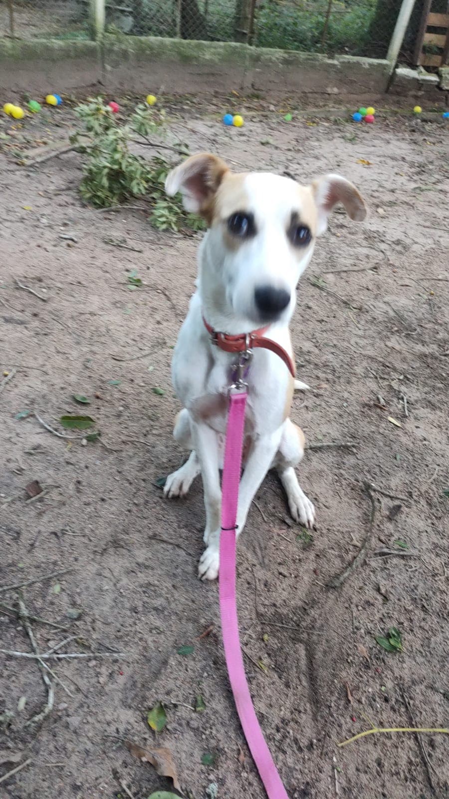 Foto de Capitu