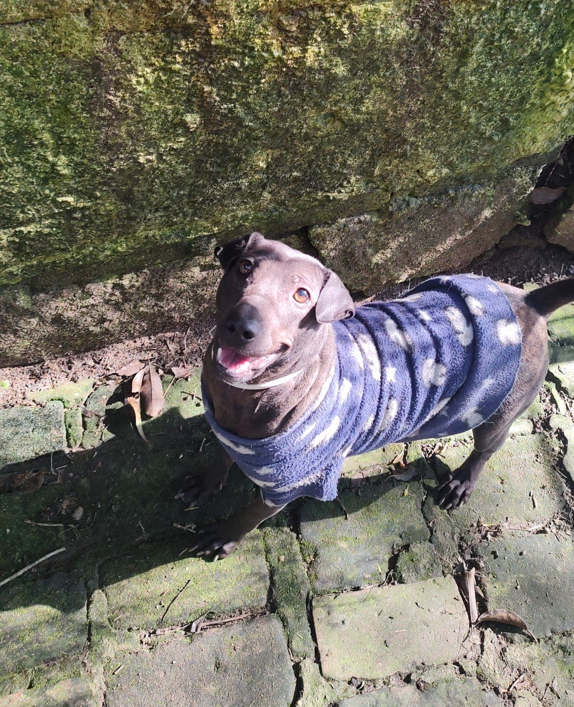 Foto de Gema