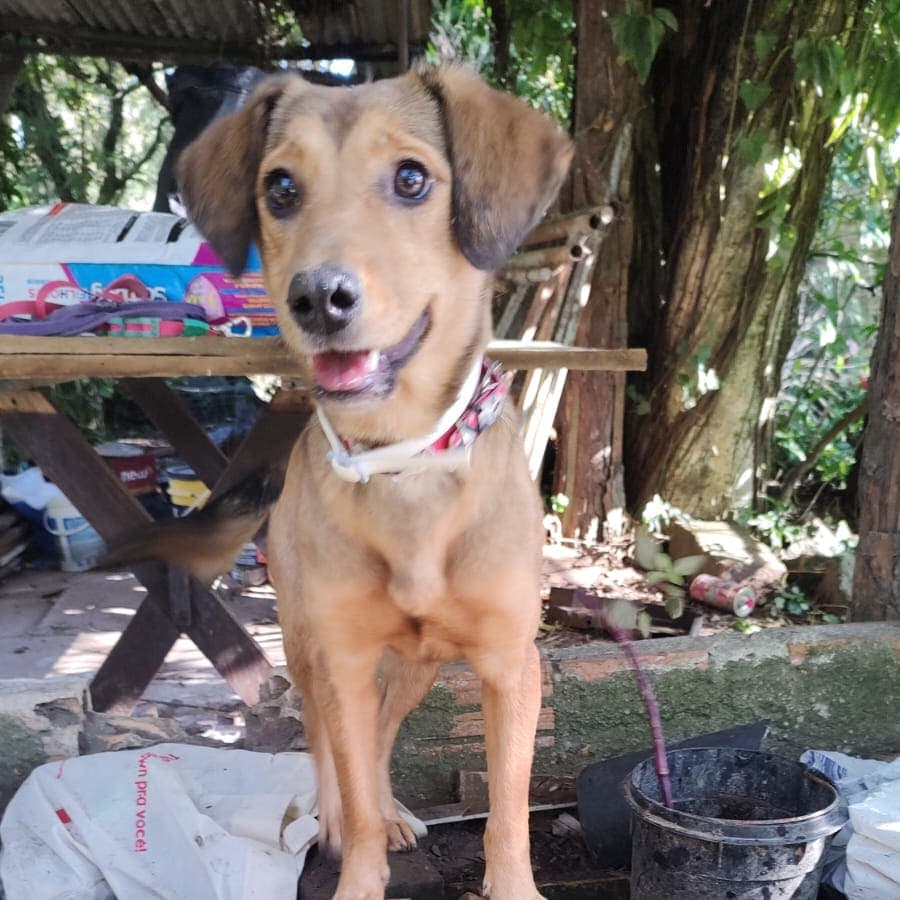 Foto de Clara