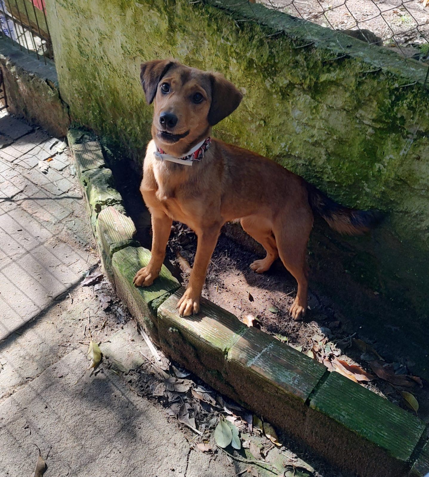 Foto de Clara