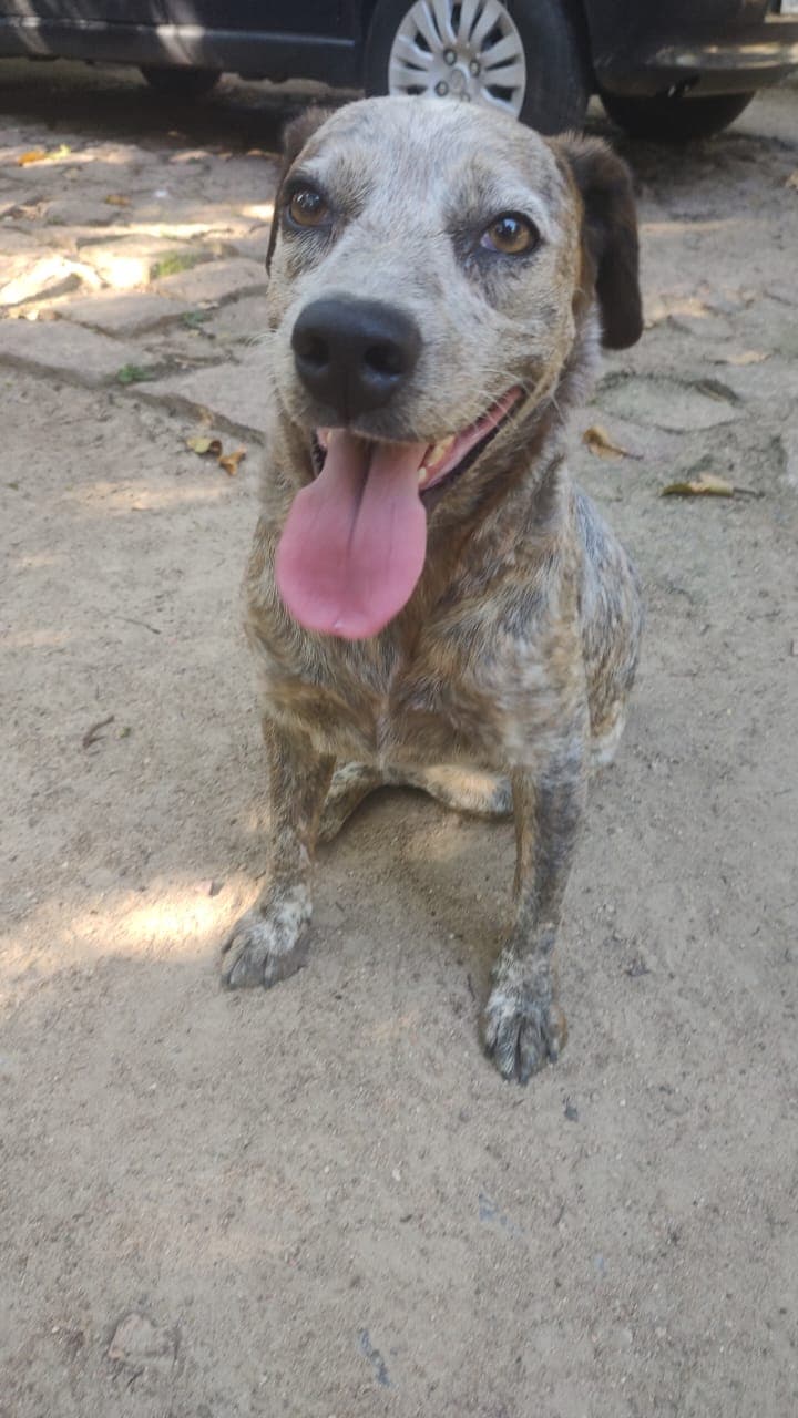 Foto de Tablita