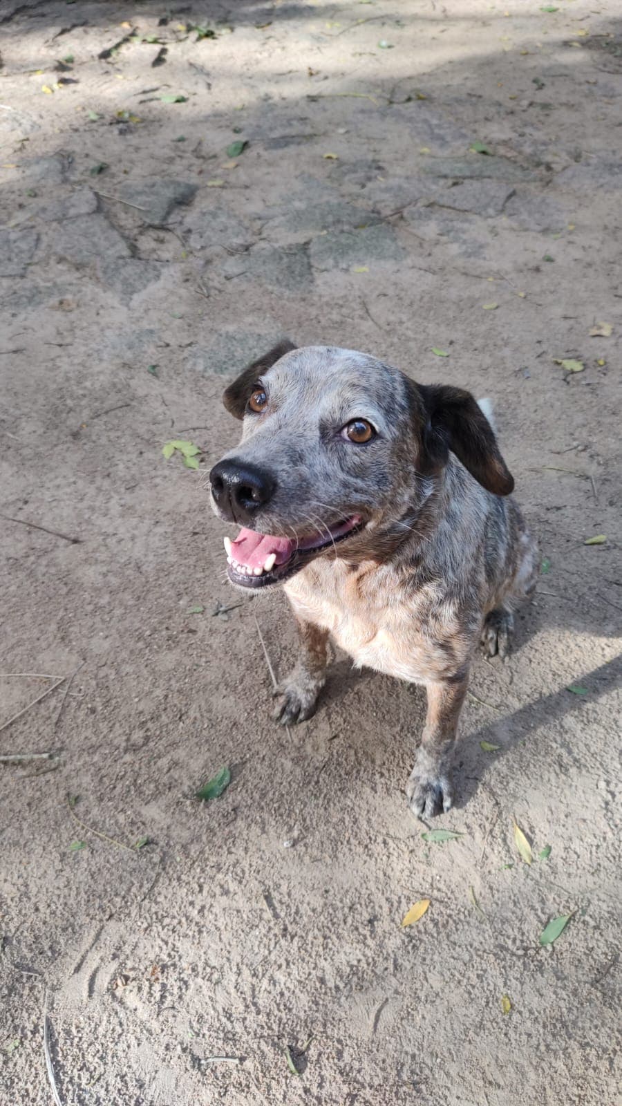 Foto 4 de Tablita