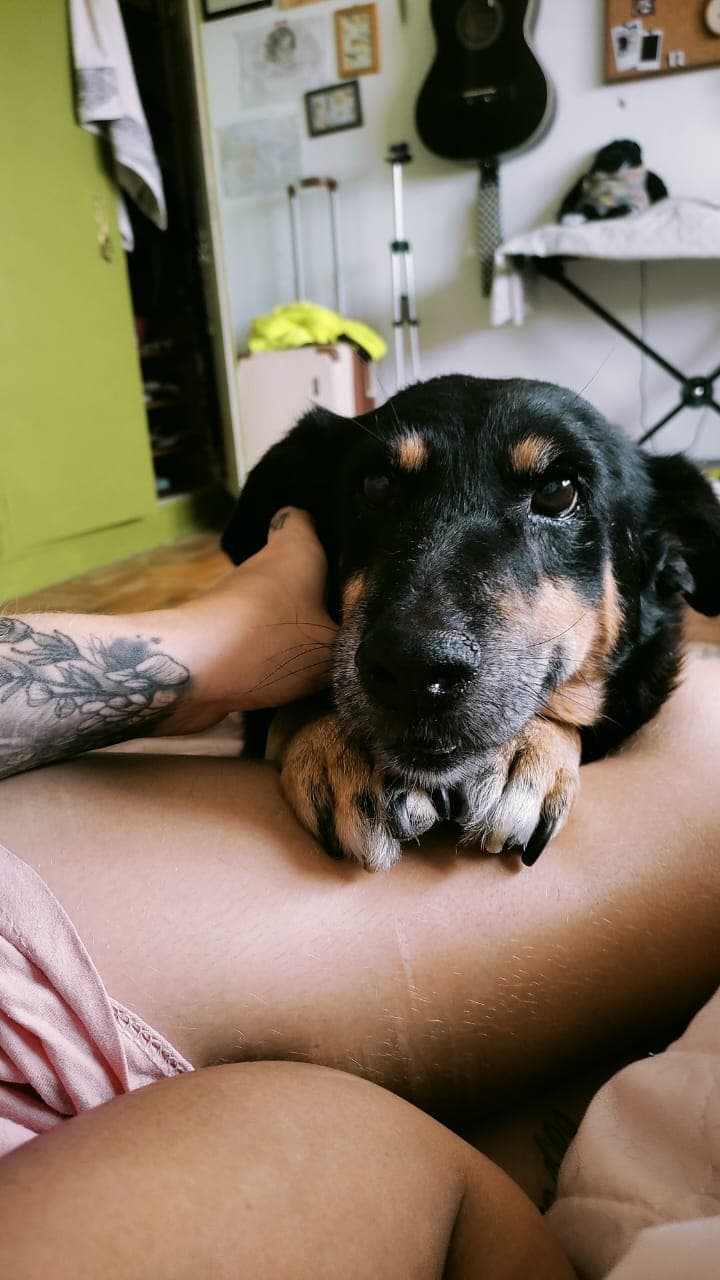 Foto de Vô Milton