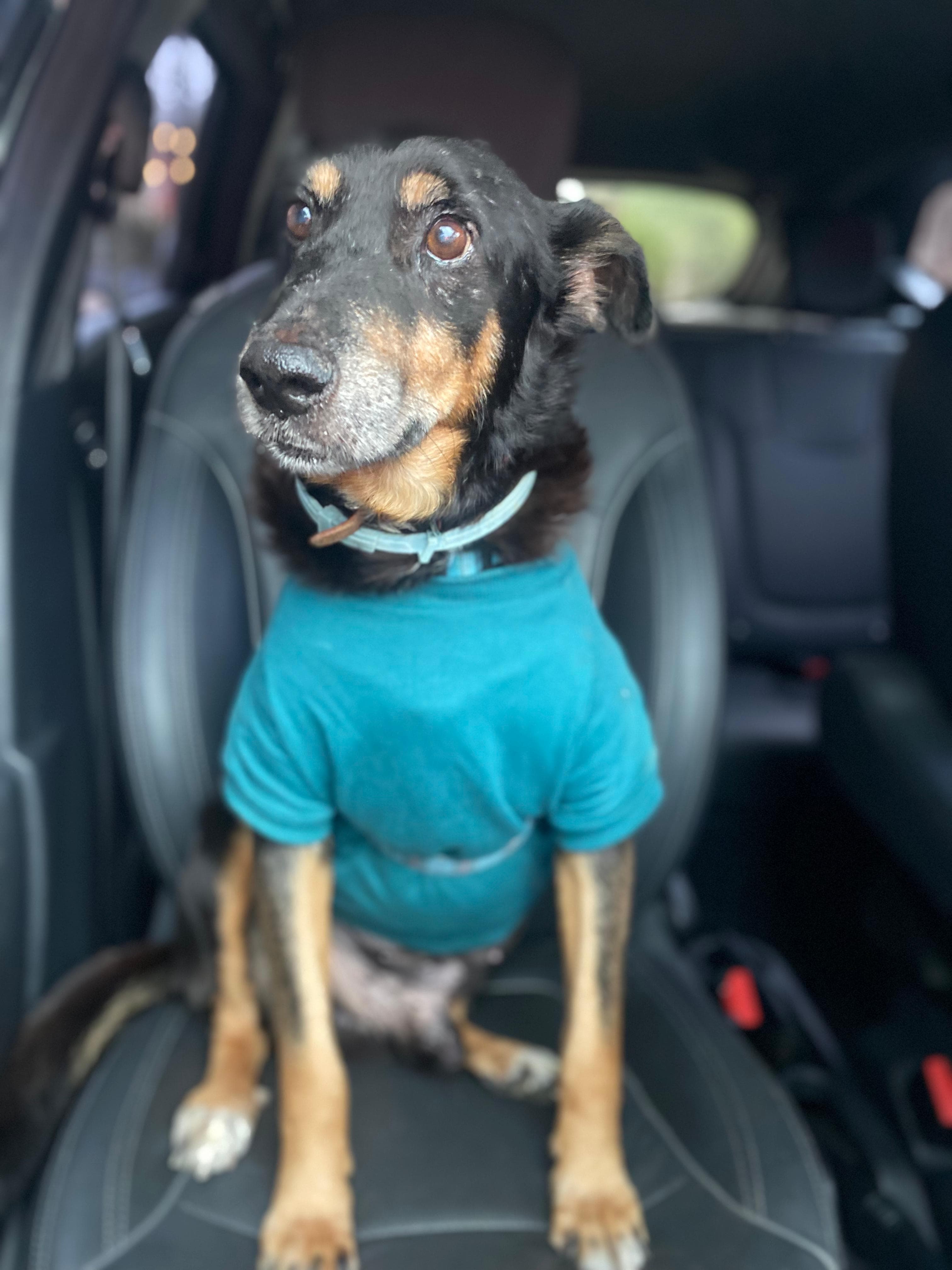 Foto de Vô Milton