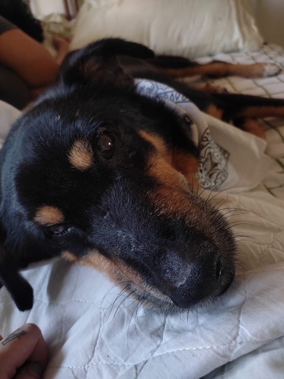 Foto de Vô Milton